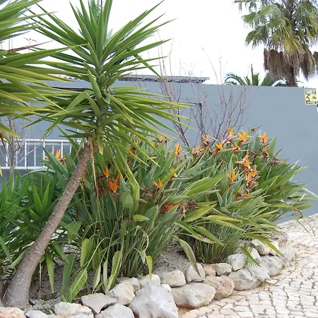 Vila Monte Alegrete With Sea View *